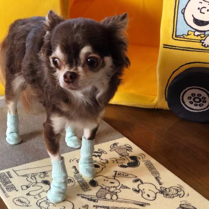 5acf547d bd1d 46d6 93f9 d969d92e72da 1547546233300