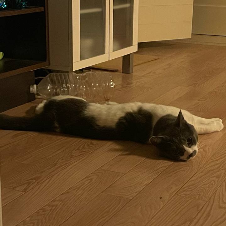 5acf83ec 344a 4eea 85df b724049846b5 1649696147818