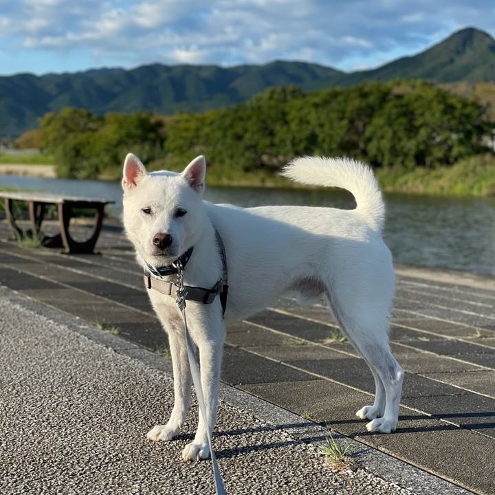 5acfa1fa bc01 4f28 a700 5d0078ac411d 1634597270712