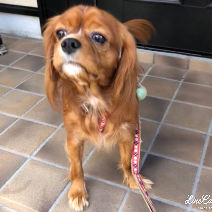 5acfa904 b87a 4bd2 94d5 d632e5bbd9a9 1539036438334