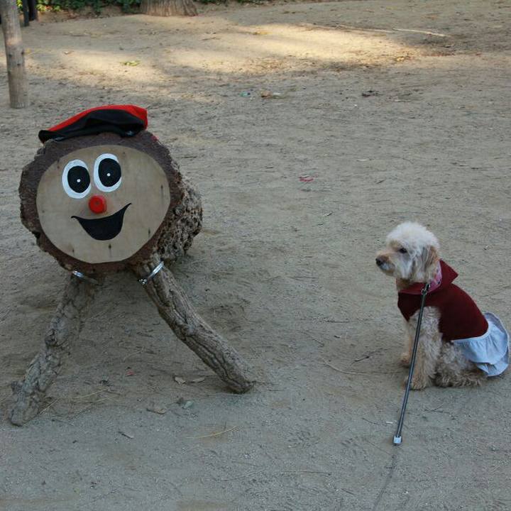 5acfbabd 0bc1 4b16 add3 05b23a82d8ae 1576428465006