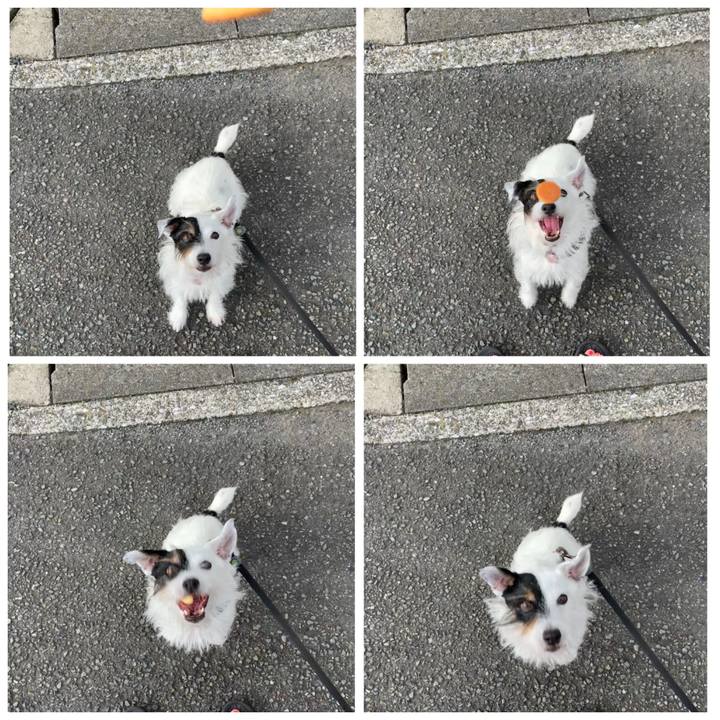 5ad04bca bb67 4c4c b55a 8918582a79fb 1662505940157