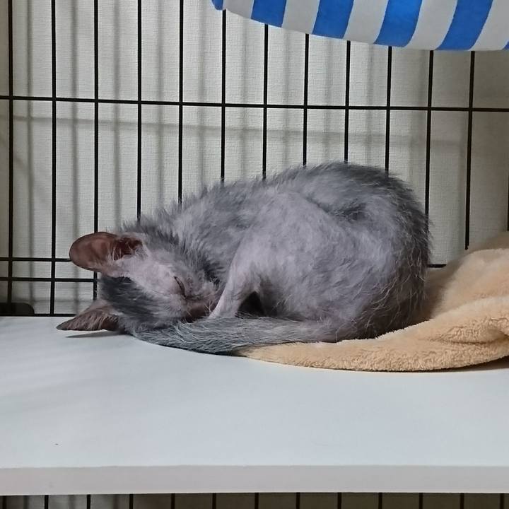 5ad05f1d a098 4736 9904 e5a0c021b33d 1514604442406