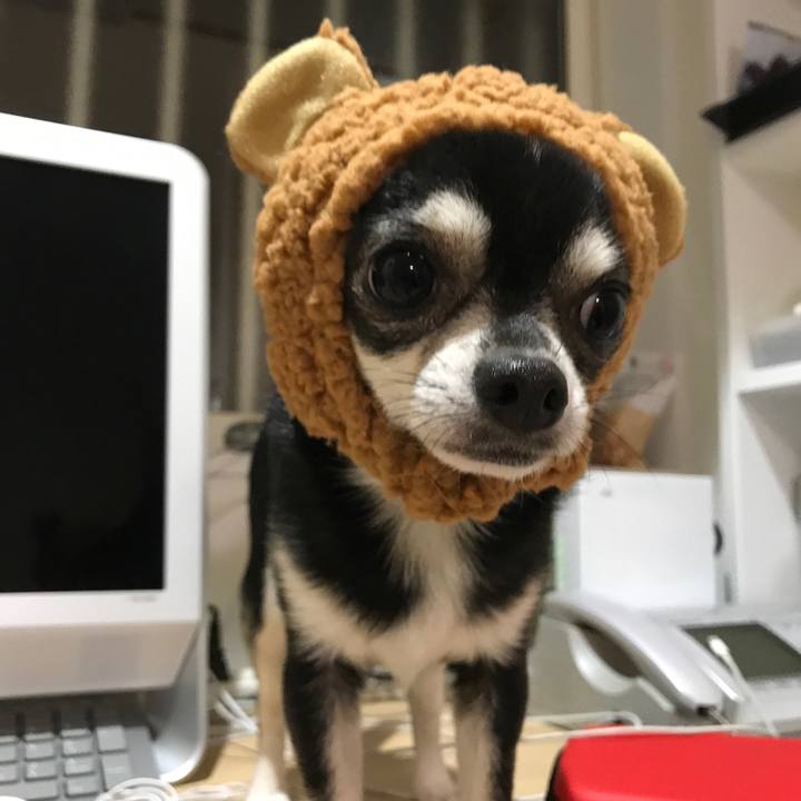 5ad07b71 d74b 4ea7 91ee 949979a71b3a 1515658606727