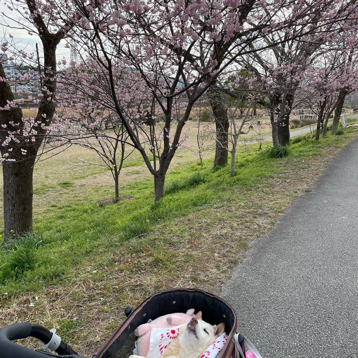 5ad07c0c a715 4f9c 9063 522829a139b5 1677666855271