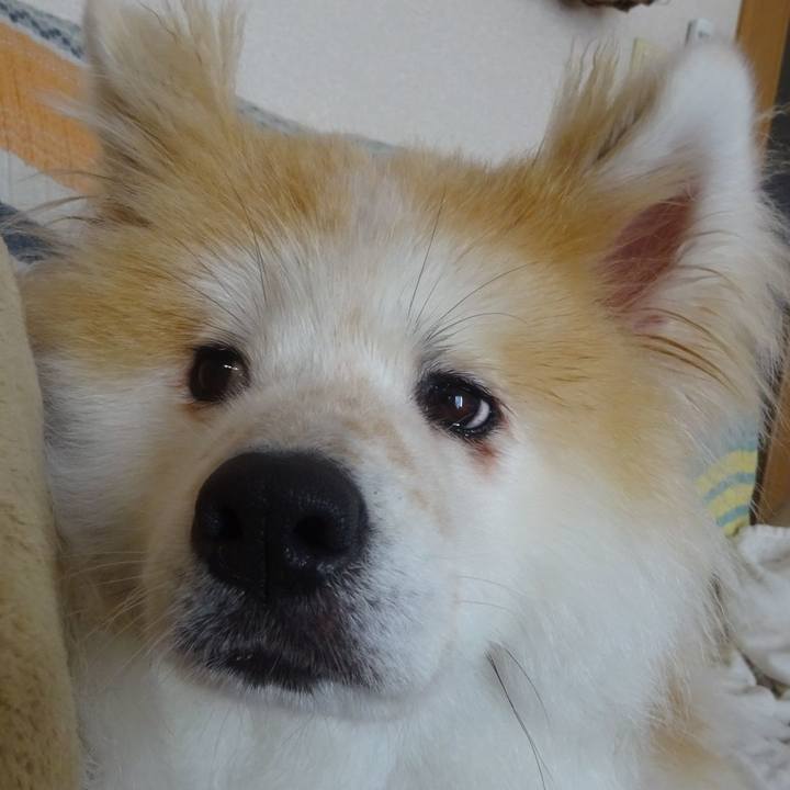 5ad08410 003a 4852 aae2 0e96635792ae 1605615162322