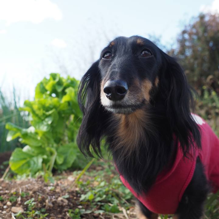 5ad08673 2bb4 438d 9d70 f9463974c666 1605145342078