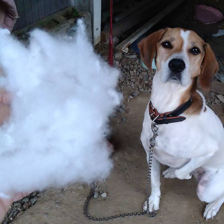 5ad0951f 9fcb 4178 8b33 62937b8d1fee 1665052212878