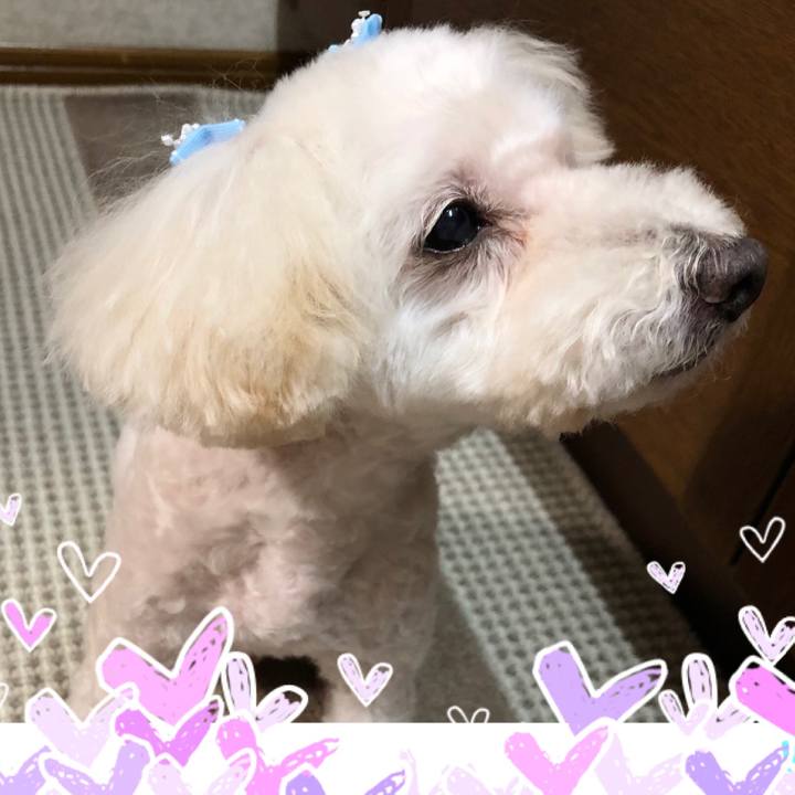 5ad0d3e1 5ee6 487f a43f 99804e5f4f1f 1540538746505