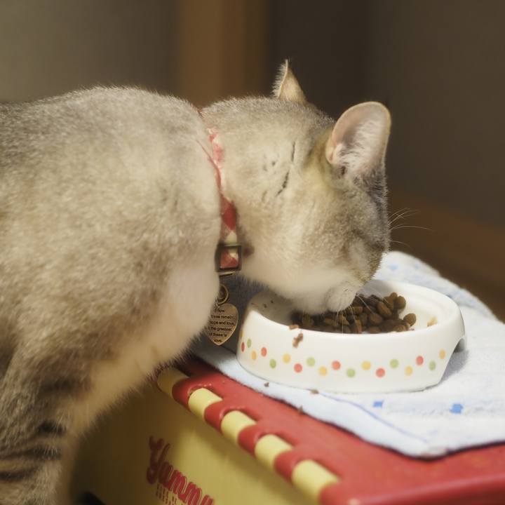 5ad11762 ef20 47f1 93cc c6a732de6694 1619834209447