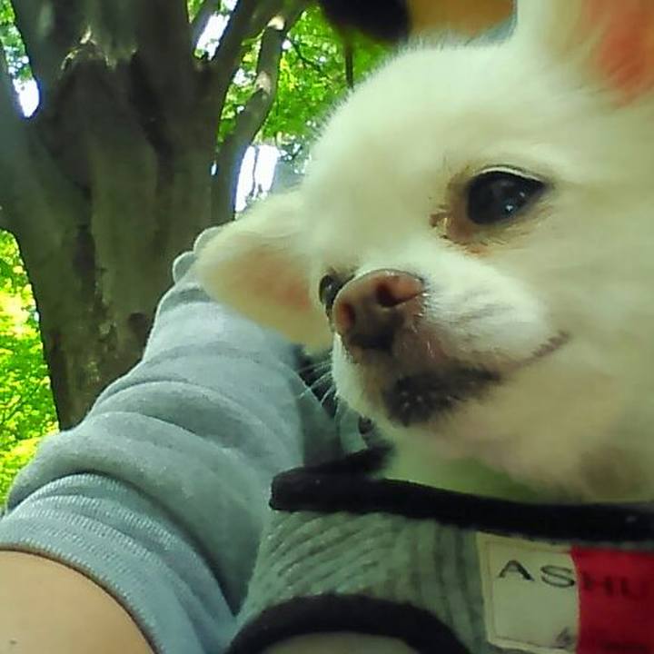 5ad13831 15d2 43a9 802f f1c77fc41774 1557318672075