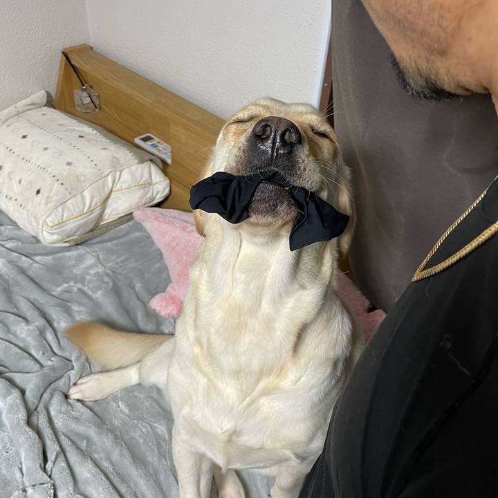 5ad14e24 f03f 4123 a381 4ef7c64f8bf2 1667083602126