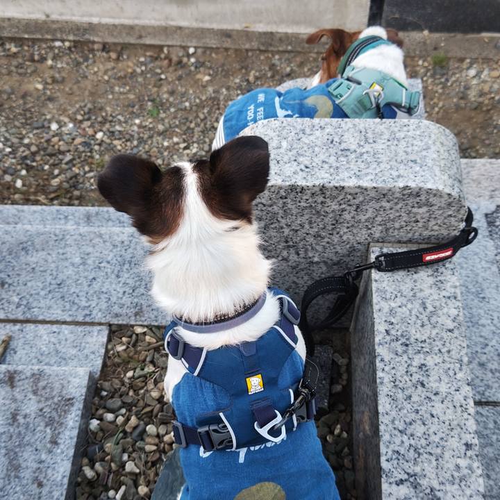 5ad15d48 a3ff 4e51 8ce2 48066f08f70e 1758638199870