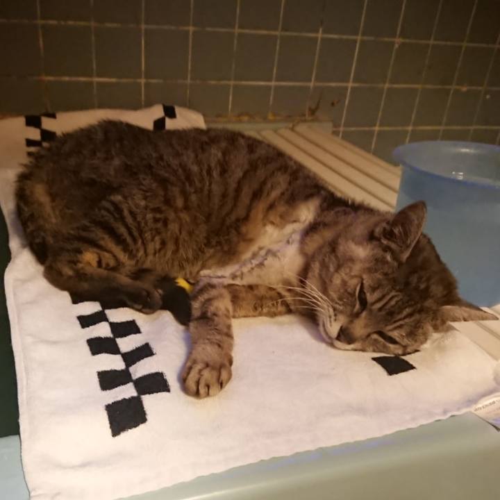 5ad18aaf 6c82 4397 bbc6 d1b34fa18575 1589277358397