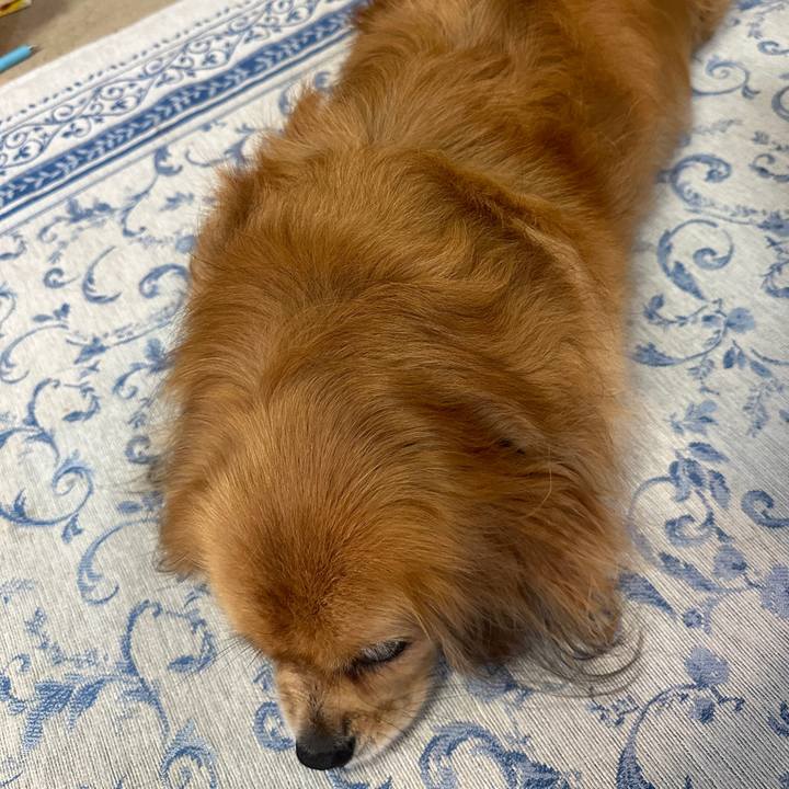 5ad1dde9 93a6 4fa9 9e8e 3df08ba037eb 1692056481179