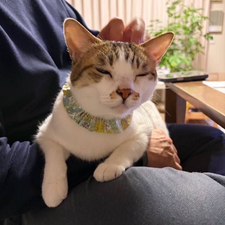 5ad1ed18 fd66 47da 9bfd 06beec4e6a0c 1774694398409