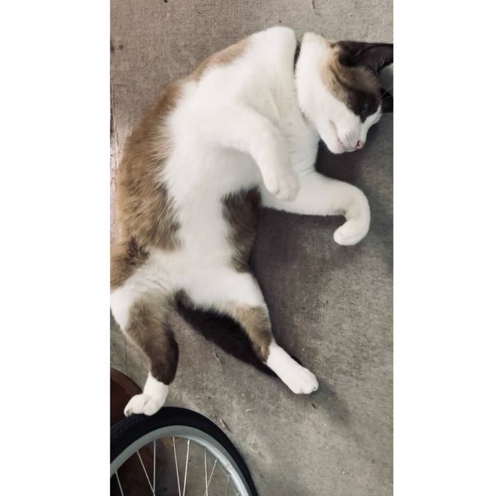 5ad2036c 9c42 4608 a3fe 06e2ca0ddca3 1728097995688