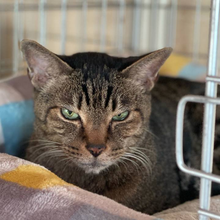 5ad20b76 6d6d 4e79 b2b9 b8261eb8ca77 1611538690520