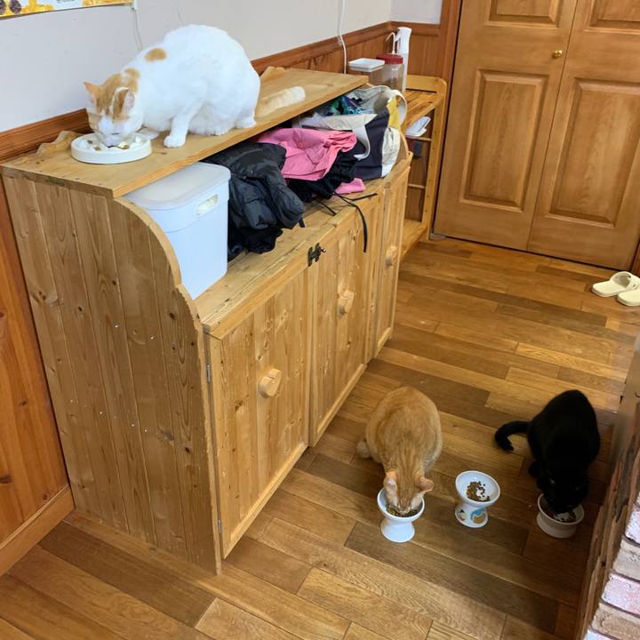 5ad22c30 9876 4e04 b472 9340829e6e7f 1668462909643