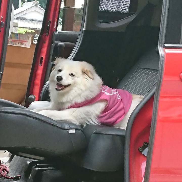 5ad268ce ae29 4688 af72 0d0e720f6be2 1557802064272