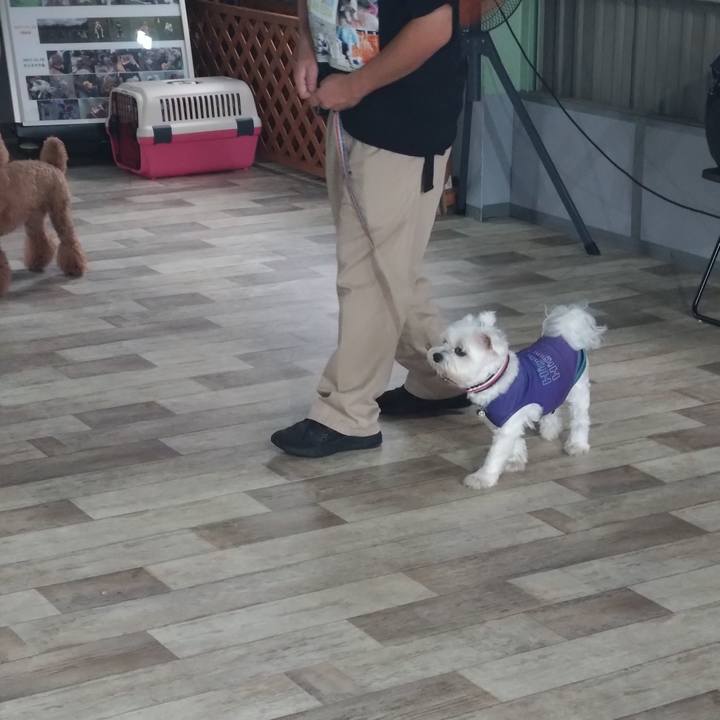 5ad26d92 8969 4bd5 ab61 7876aa4fcd40 1719139861986