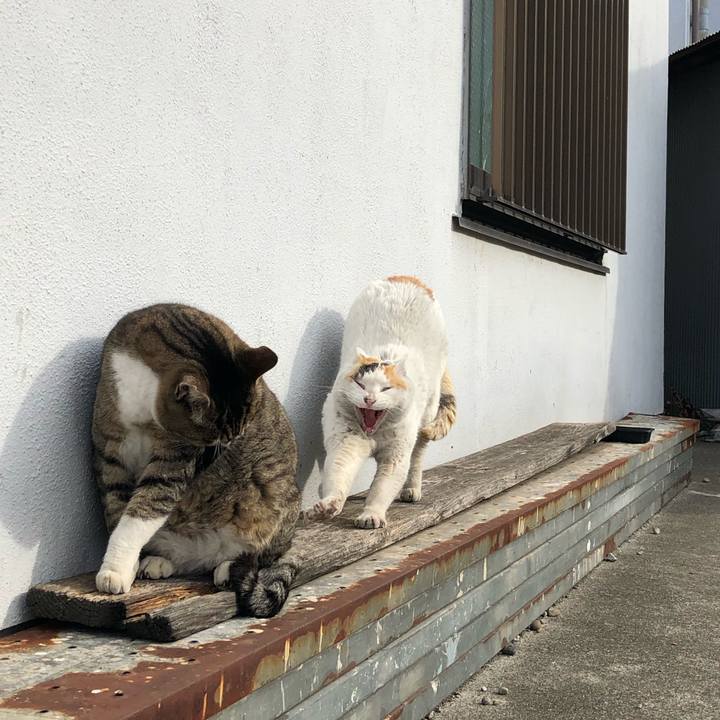 5ad27abf 1850 4697 9b0d e783004ac122 1544460799340