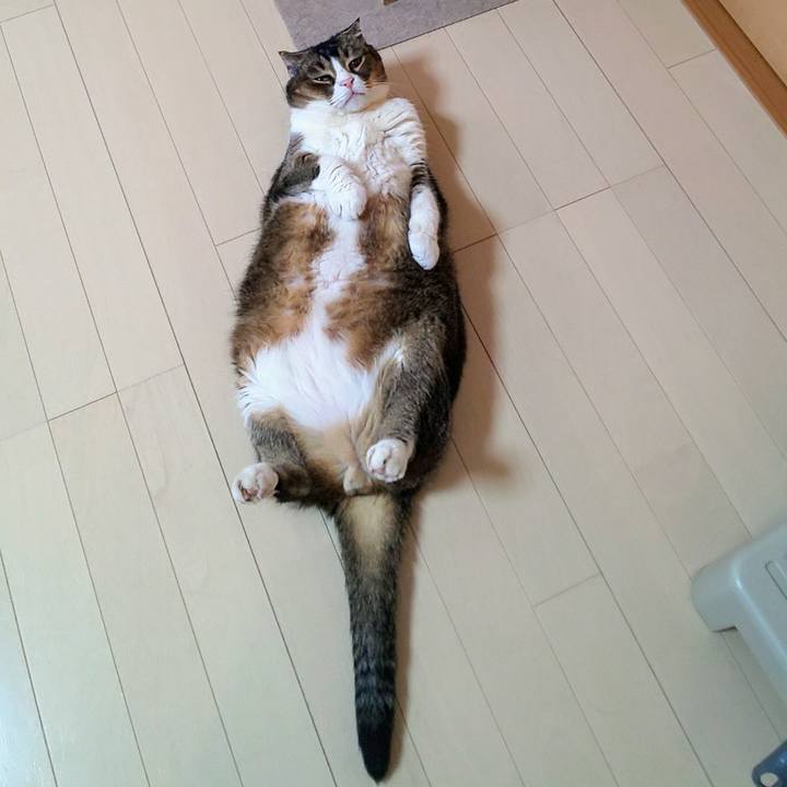 5ad2822a 909e 4f51 a113 b28e6f0dde7e 1750465599367