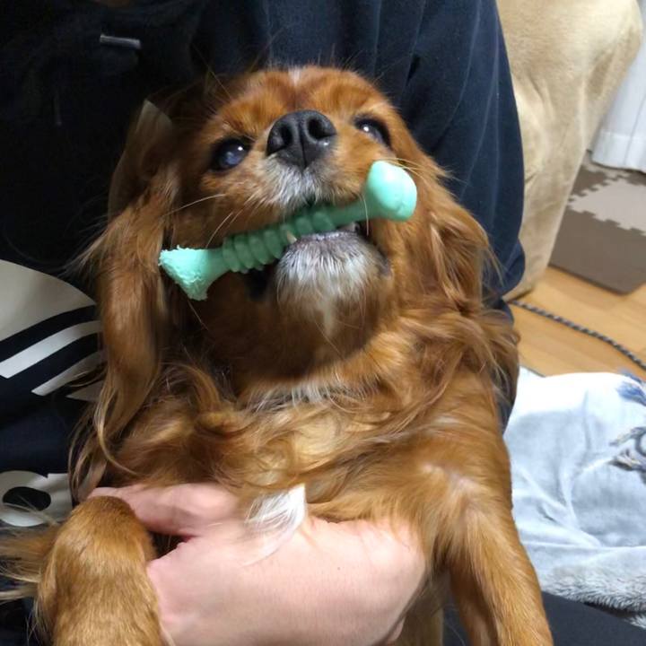 5ad295e6 3072 48f4 9ca5 73132b7b18a5 1579268438487