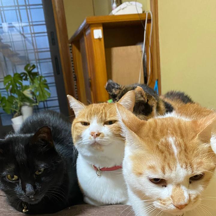 5ad2e132 e487 4375 8625 9134d0f523df 1732885736112