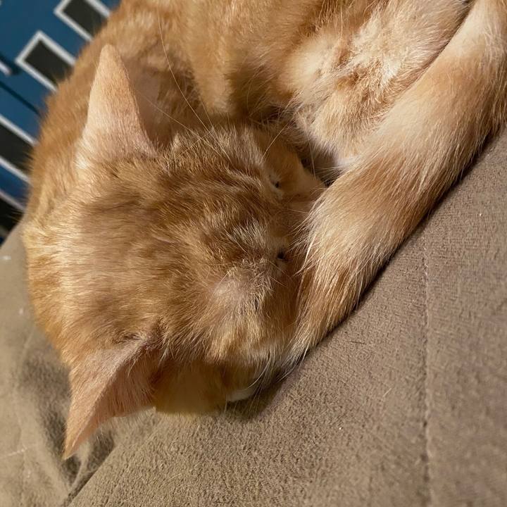 5ad2e3d4 2675 4168 b06c f1fce3786c08 1584563327359