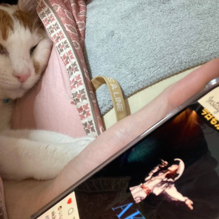 5ad30a67 dbff 4313 a0e8 780db671516f 1767831425387