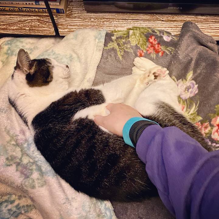 5ad31673 13e9 41f7 b5a6 0660e2b17004 1610293923086