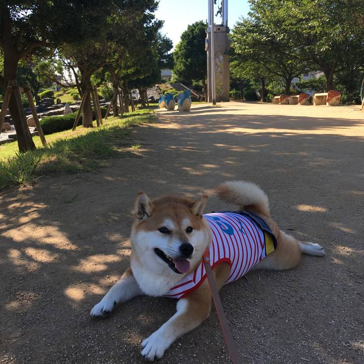 5ad335f3 ae34 4590 8625 fd4882e0cf24 1564962328141