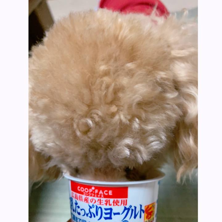 5ad338a7 f146 41ed 87cd 00b19b6edf1b 1625090316421