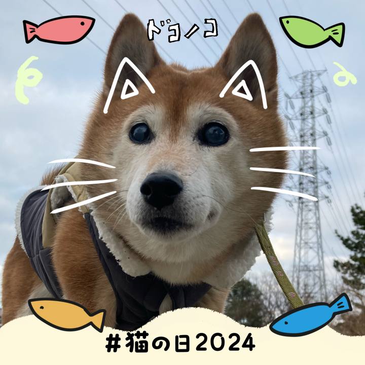 5ad346b6 4883 4bf2 ae9e 0ef7fee8b8eb 1708583845729