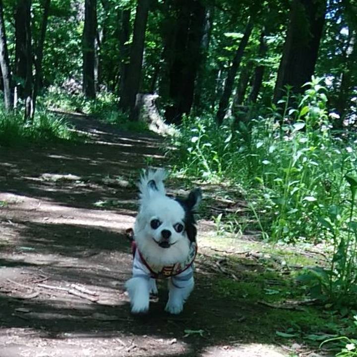 5ad3a085 1e9f 4b92 8002 42ee26d8c69c 1589116476266