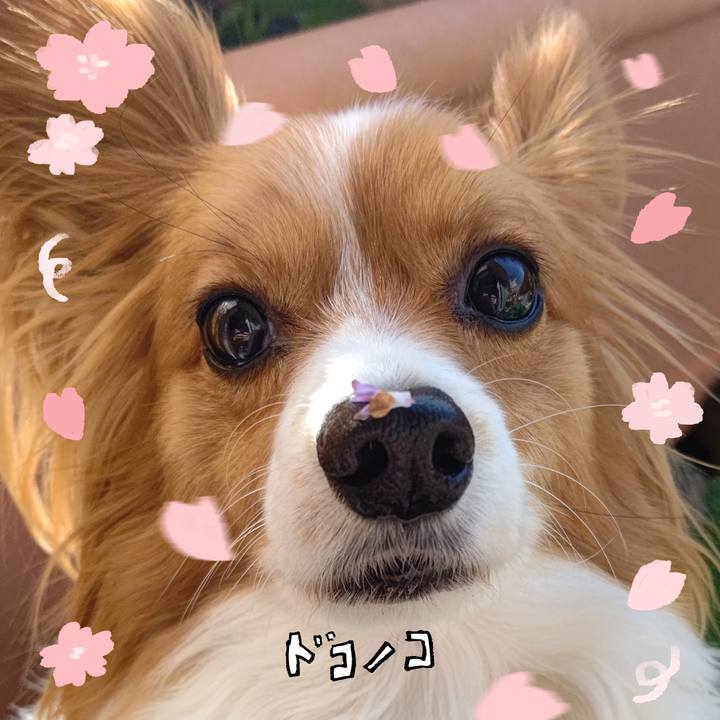 5ad3b317 8e9d 4346 aaa0 07fefa67b353 1744643920790