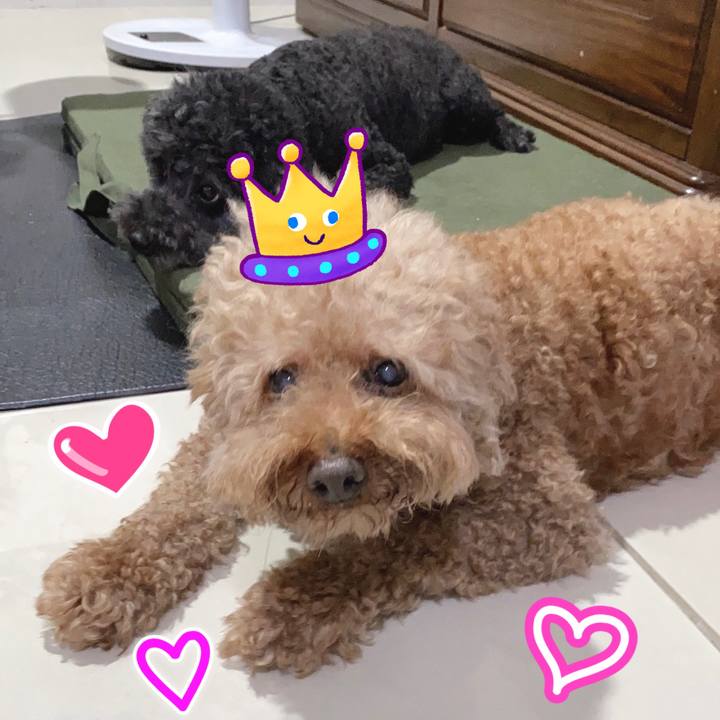 5ad3b745 2f15 401f 8ef9 871806630407 1625584152380