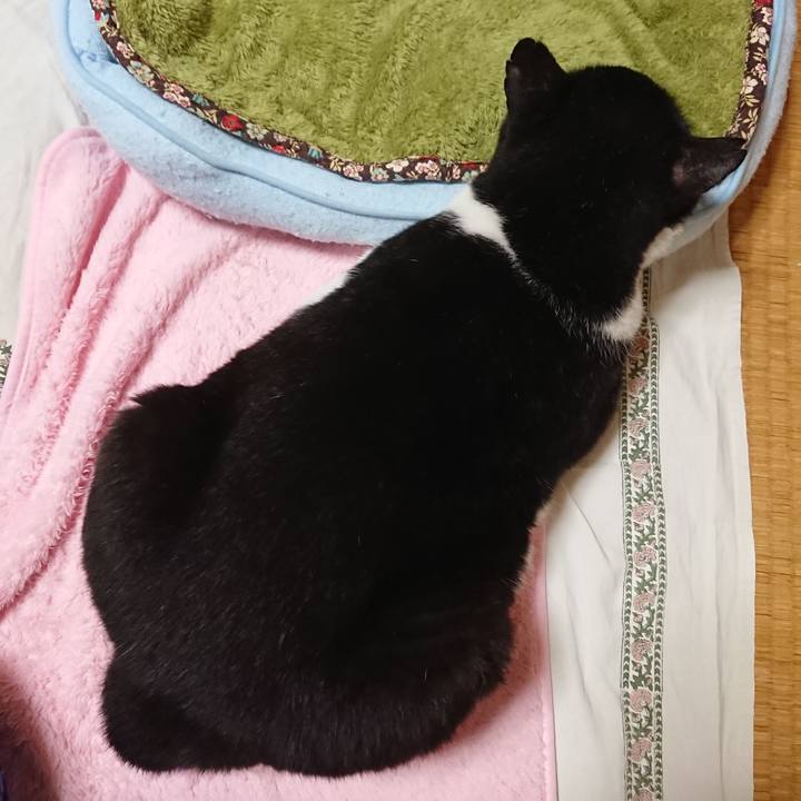 5ad3bde5 2545 4a4b adef 35f4d8061dac 1529057498169