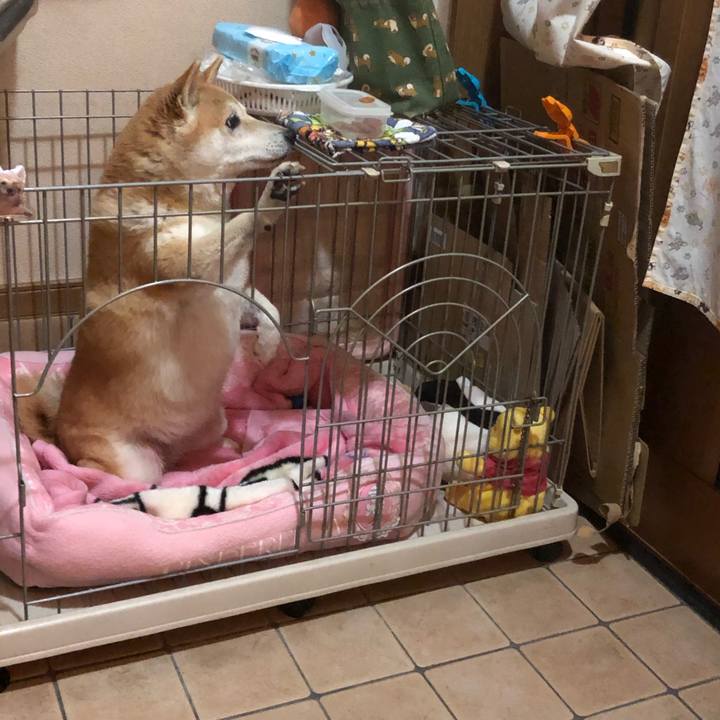 5ad3d4a9 98db 4fde a724 0c73768c0155 1607169930750