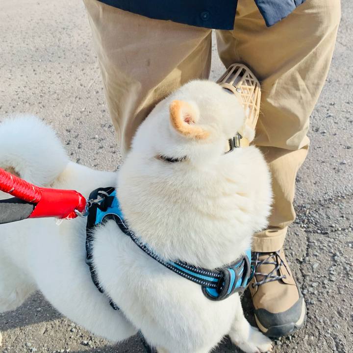 5ad3e3e6 1f9d 4149 aa50 2462d21773c6 1681338418668