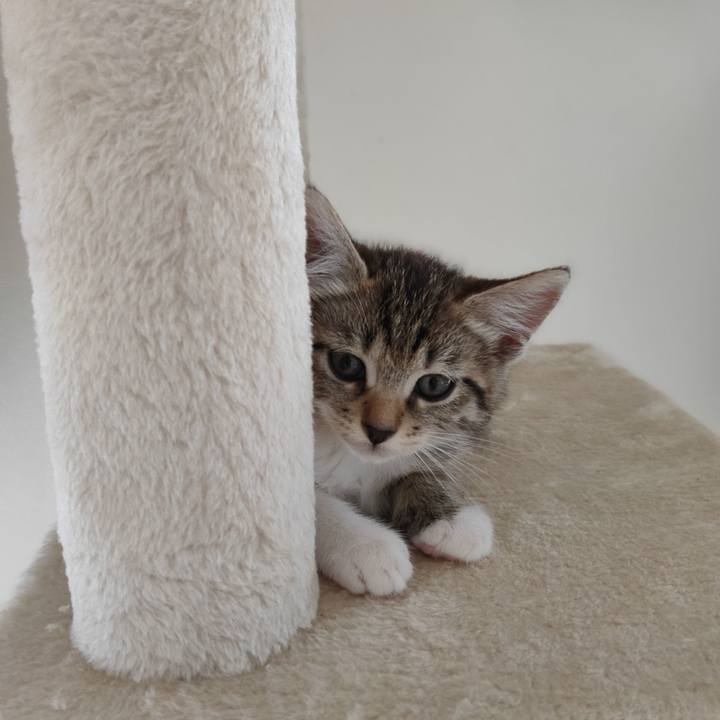 5ad4126e dce4 4449 a9a0 ca96116f1e60 1623817774786