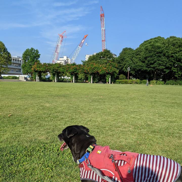 5ad43ae1 c1e3 42ff bca5 85dd6a4631b2 1690334358076