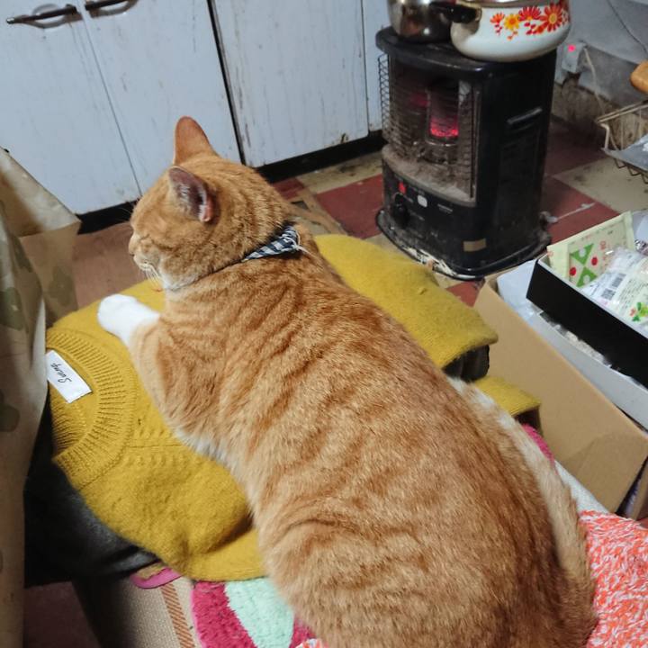 5ad46f6e 92bf 4d03 af93 1f63c90424e1 1573121749562