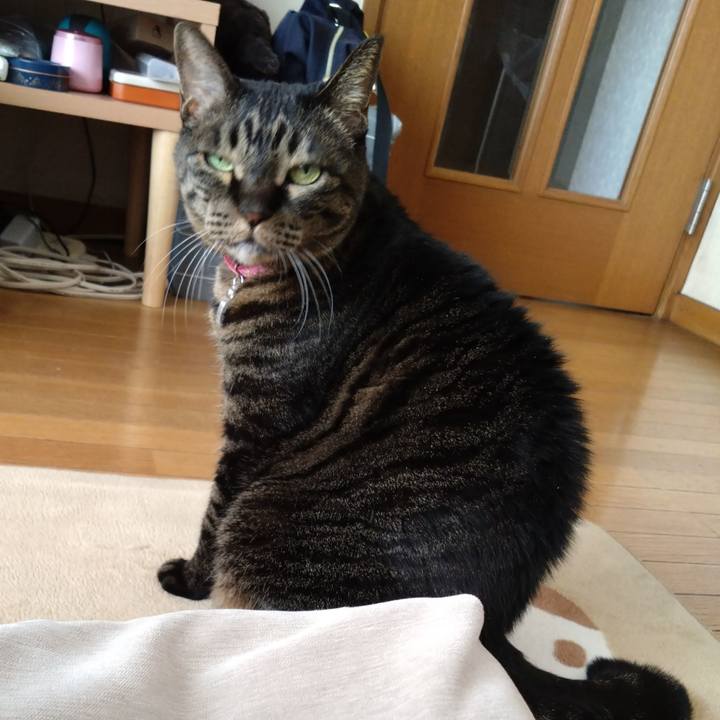 5ad48066 0f78 4c28 8a02 57aea0e72621 1770625645544