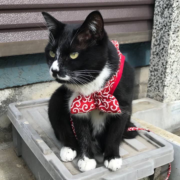 5ad48d62 48e7 46db bd51 b9b52a4d59e0 1574571722771