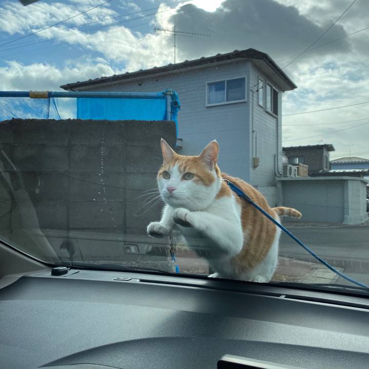 5ad4be7c 735b 4ba7 854d 5cf90860caeb 1578190341247