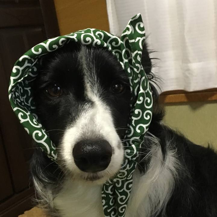 5ad5016f 5e29 443e 9b7c 20eca4b9c075 1509947690719