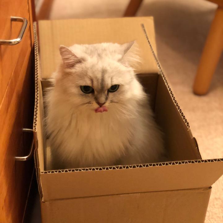 5ad50e2f 86f5 4e7a 8666 4f7a09e93f8d 1537967850921