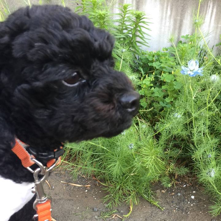 5ad545f7 4633 4cb0 8ef7 c1b79ea40530 1524863367255